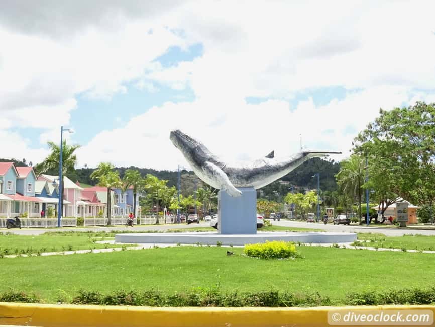 Punta Cana: Playa Rincon, Samana, & Cayo Levantado Day Trip - FAQ