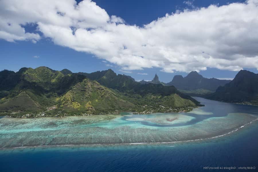 Moorea Highligts: Blue Lagoon Shore Attractions and Lookouts - Sampling Local Flavors and Learning about Agriculture