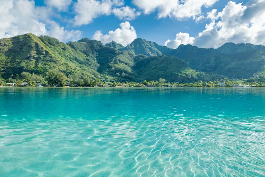 Moorea Highligts: Blue Lagoon Shore Attractions and Lookouts - The Tropical Garden and Vanilla Plantation
