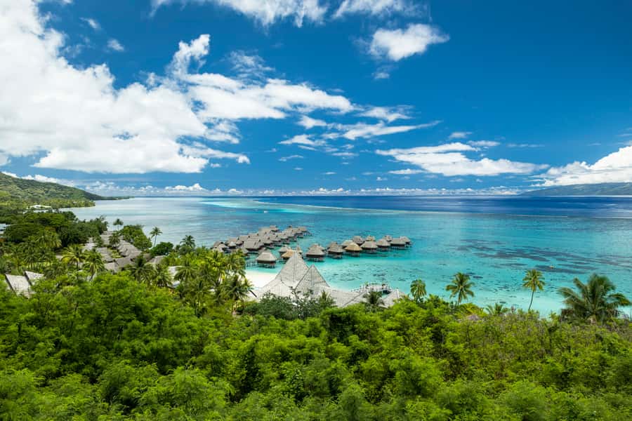 Moorea Highligts: Blue Lagoon Shore Attractions and Lookouts - Optional Snorkeling with Rays and Sharks