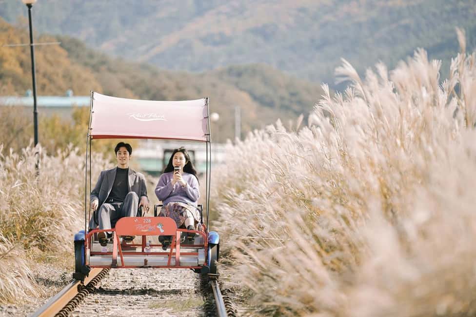 From Seoul: Nami Island, Korean Garden & Rail Bike Day Trip - Authentic Traveler Experiences