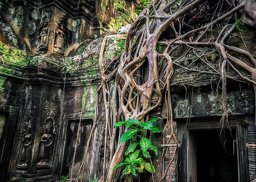 Siem Reap: Full-Day Angkor Wat Guided Tour with Sunset - Authentic Experiences from Reviewers