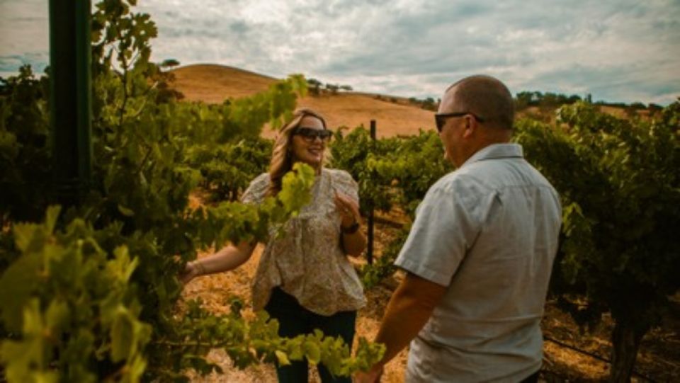 Paso Robles: Grapevine Getaway Exclusive Wine Tour - Exploring the Paso Robles Grapevine Getaway