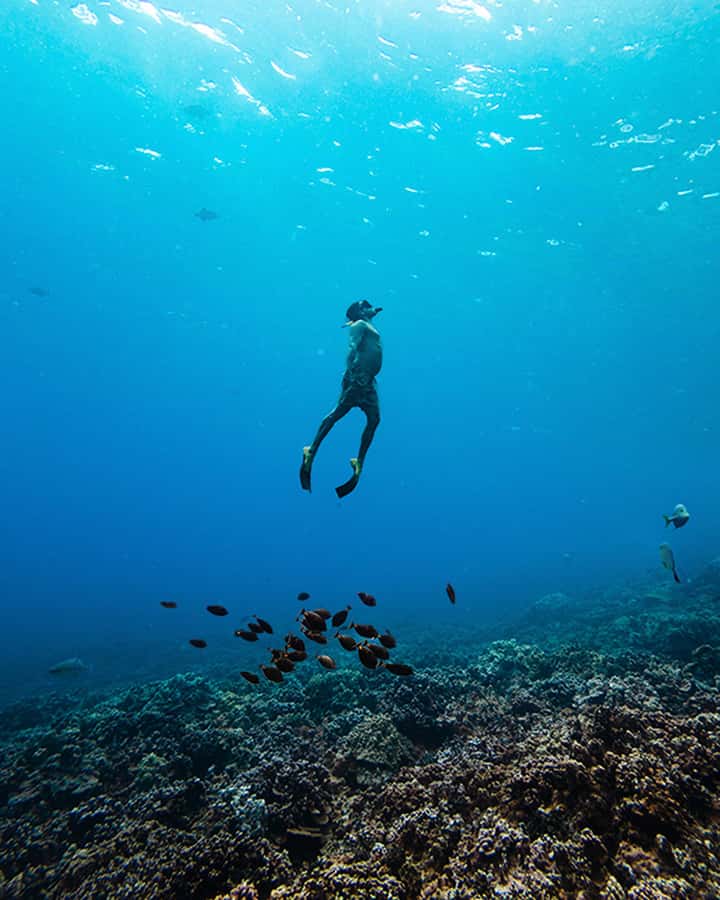 Lna'i Coast Snorkel & Sail from Lahaina - Exploring Maui’s Coast on the Lnai Coast Snorkel & Sail Tour from Lahaina
