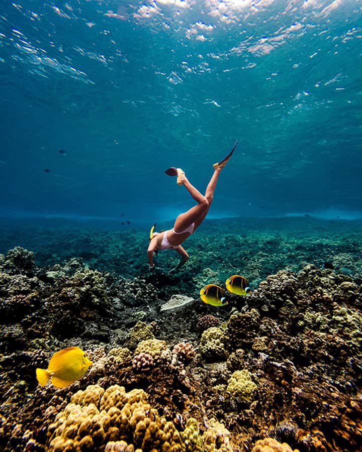 Lna'i Coast Snorkel & Sail from Lahaina - Frequently Asked Questions