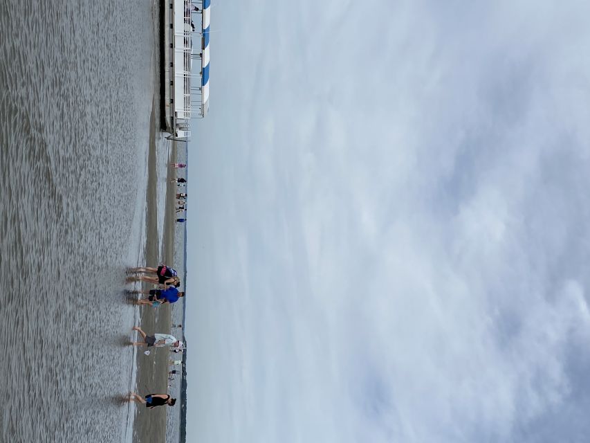 Hilton Head Island: Disappearing Island and Dolphin Tour - Key Points