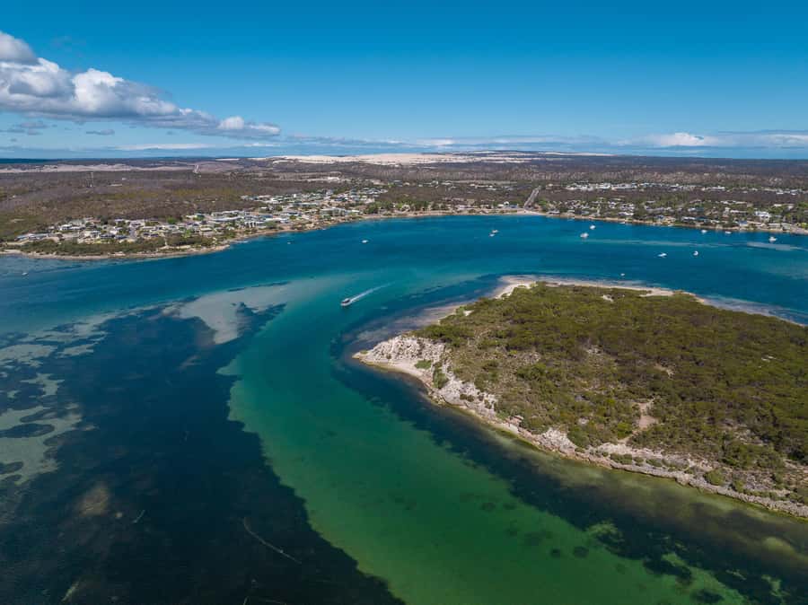 Coffin Bay: Short and Sweet Oyster Farm Tour - Who Will Love This Tour?