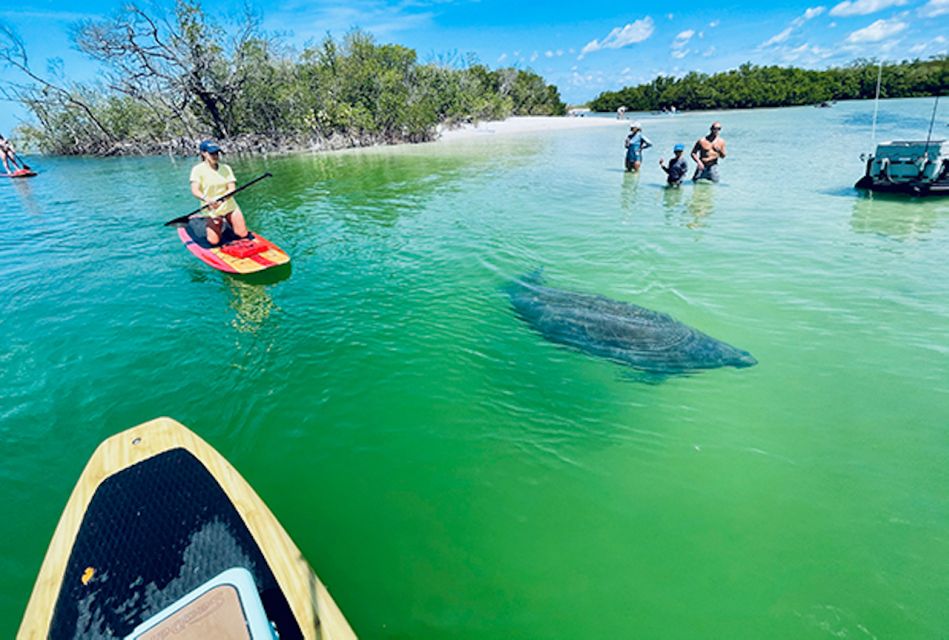 Marco Island: Guided Manatee-Watching Kayaking or SUP Tour - Exploring Marco Island’s Waterways: A Detailed Review