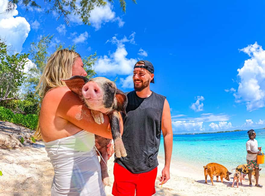 Nassau: Sun Cay and Swimming Pigs Boat Trip with Lunch - Overall Experience and Value