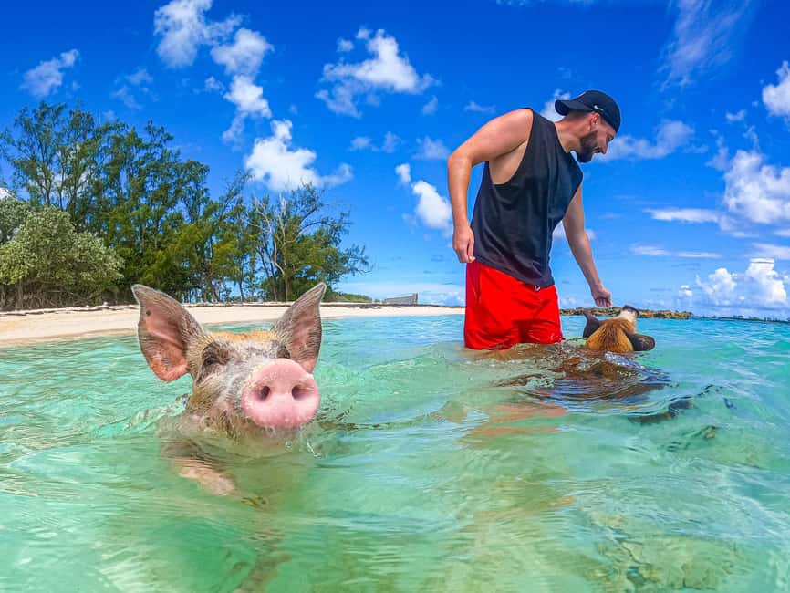 Nassau: Sun Cay and Swimming Pigs Boat Trip with Lunch - Final Thoughts