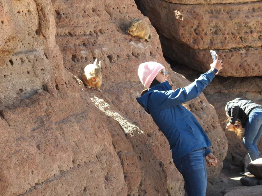 Uyuni: Uyuni Salt Flats and San Pedro de Atacama 3-Day Tour - Key Points