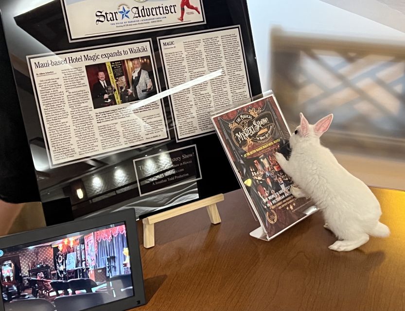 Oahu: Hilton Waikiki Beach Hotel Magical Mystery Show - A Closer Look at the Magical Mystery Show Experience