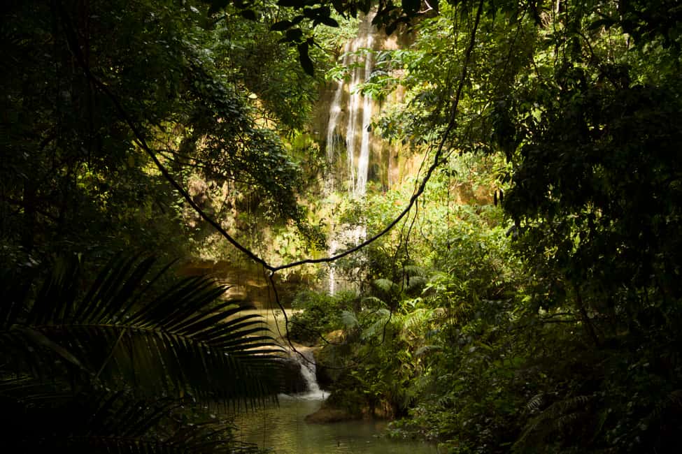 El Limón: Waterfall Hiking Tour with Lunch - A Detailed Look at the El Limón Waterfall Tour