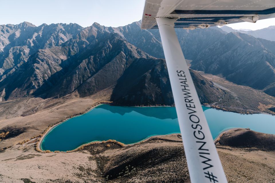 Kaikoura: Extended Flight Whale Watching & Mountain Tour - Exploring the Kaikoura Extended Flight Whale Watching & Mountain Tour