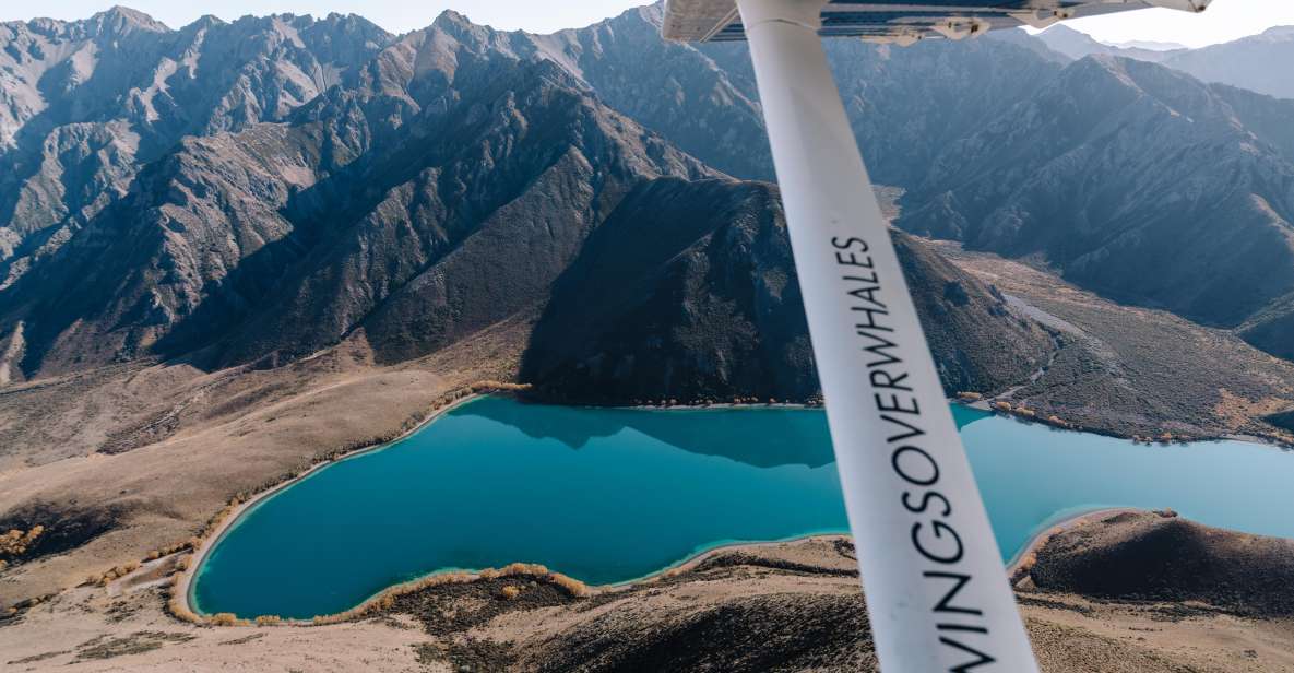 Kaikoura: Extended Flight Whale Watching & Mountain Tour - Who is this tour best suited for?