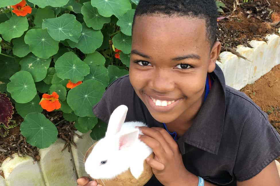 Taste of Jamaica Farm & Food Tour - Taste of Jamaica Farm & Food Tour: An Authentic Experience Off the Beaten Path