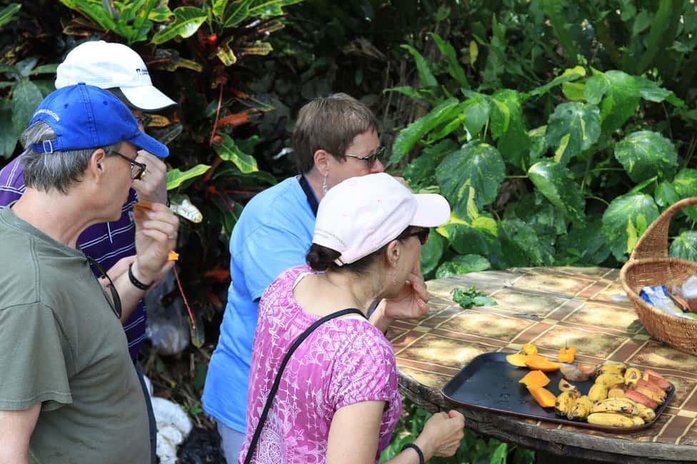 Taste of Jamaica Farm & Food Tour - Who Will Love This Tour?