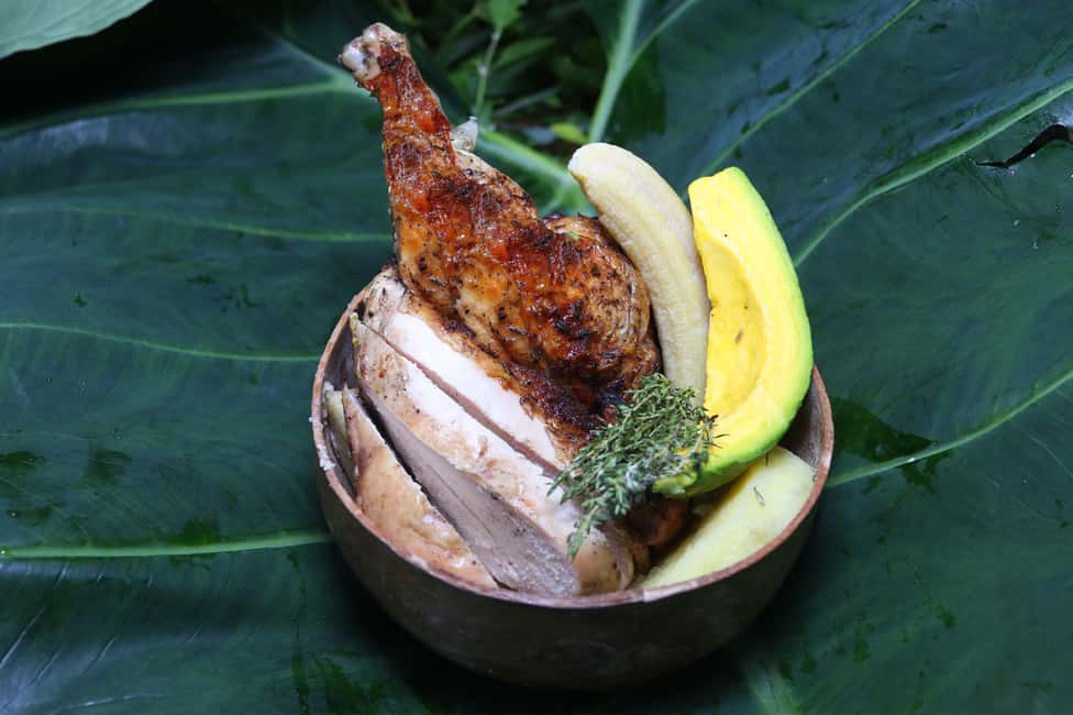 Taste of Jamaica Farm & Food Tour - FAQs