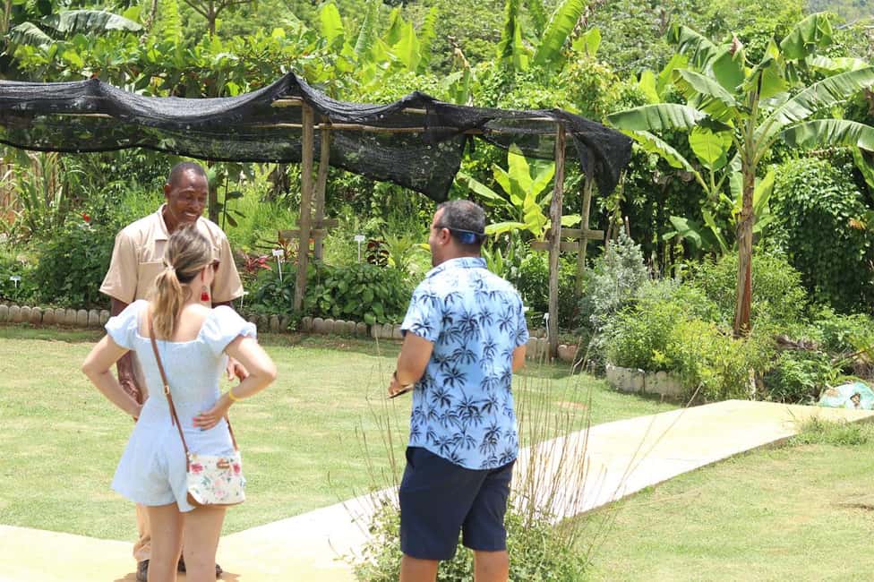 Taste of Jamaica Farm & Food Tour - A Deep Dive Into the Taste of Jamaica Experience