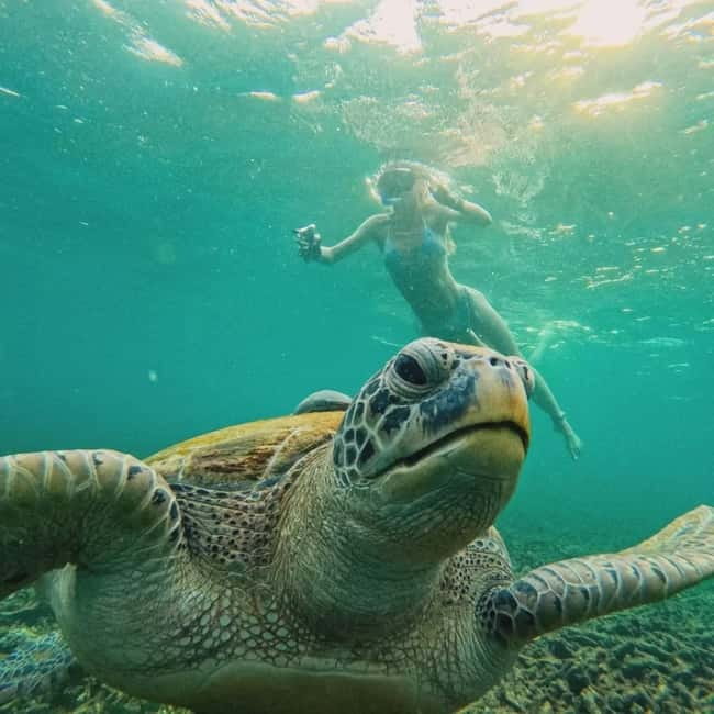 Ko Tao: Tao-Nangyuan Snorkeling Day Trip with Meals & Sunset - Final Thoughts