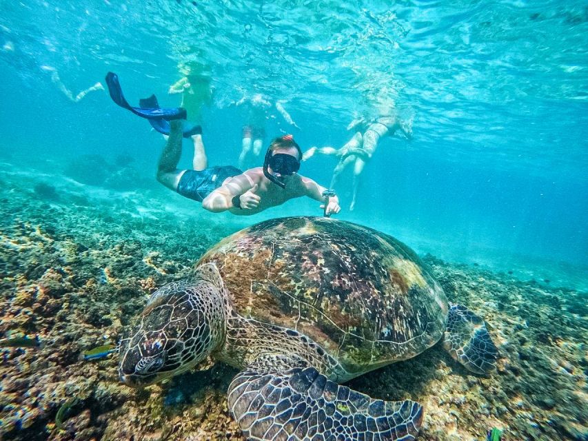 Ko Tao: Tao-Nangyuan Snorkeling Day Trip with Meals & Sunset - Practical Tips