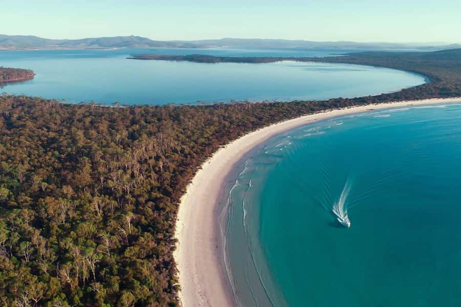 From Hobart: Day Tour to Maria Island with Bus Connection - The Sum Up