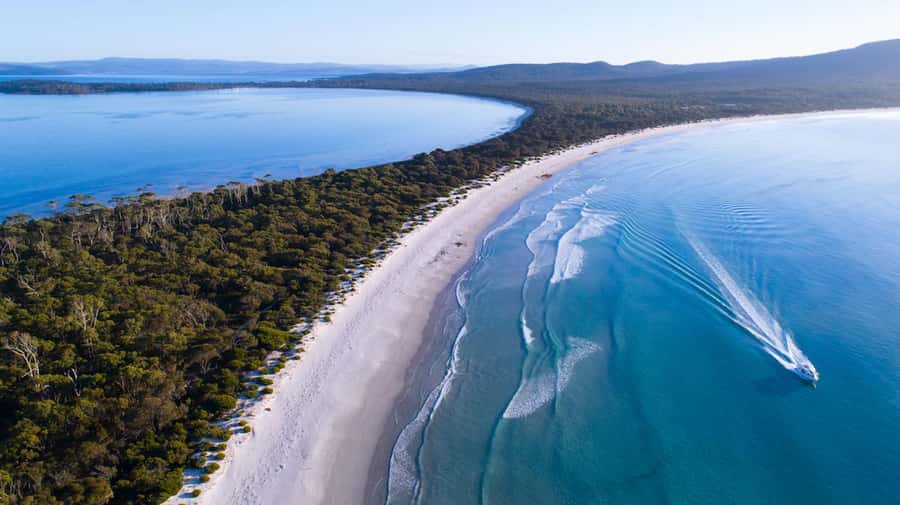 From Hobart: Day Tour to Maria Island with Bus Connection - FAQ