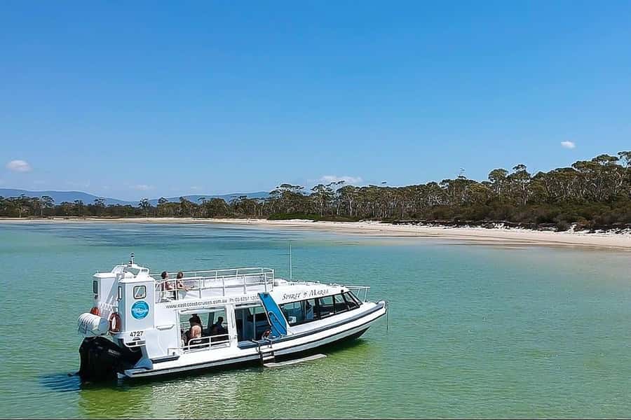 From Hobart: Day Tour to Maria Island with Bus Connection - Practical Details and Value