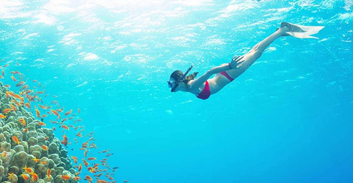 Phu Quoc: Speedboat Tour of 4 Islands with Snorkeling & BBQ - The Experience of Snorkeling and Marine Life