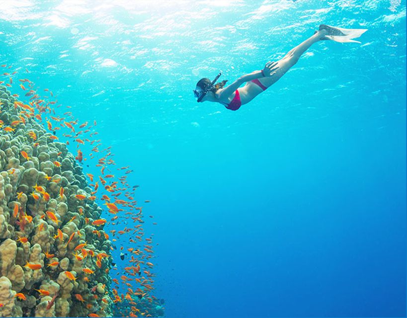 Phu Quoc: Speedboat Tour of 4 Islands with Snorkeling & BBQ - Logistics, Group Size, and Weather Considerations