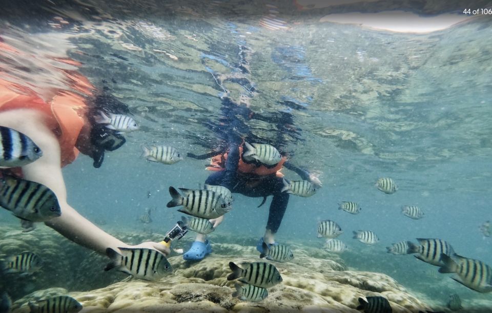 Phu Quoc: Speedboat Tour of 4 Islands with Snorkeling & BBQ - FAQs About the Phu Quoc Speedboat Tour