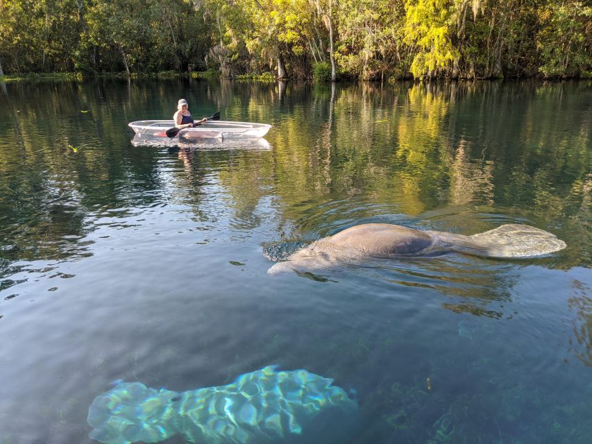 Silver Springs: Manatees and Monkeys Clear Kayak Guided Tour - FAQ