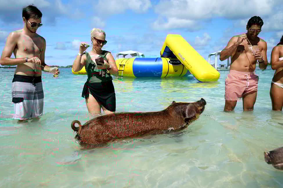 Nassau: Swimming Pigs, Snorkeling, Lunch, & Beach Boat Tour - Good To Know