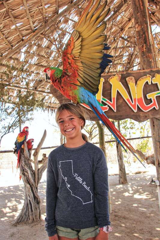 Los Cabos: Animal Encounter & Aqua Park Adventure - A Deep Dive into the Experience: What to Expect