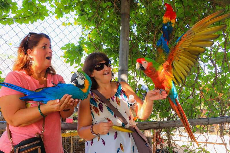 Los Cabos: Animal Encounter & Aqua Park Adventure - Exploring the Wild Canyon Animal Encounter & Aqua Park Tour in Los Cabos