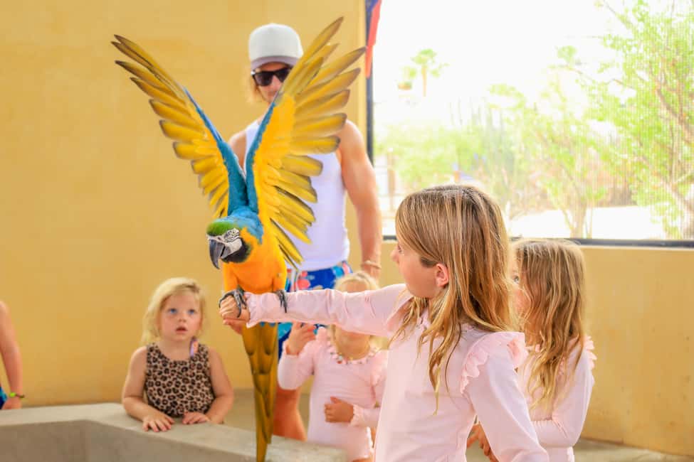 Los Cabos: Animal Encounter & Aqua Park Adventure - The Sum Up: Who Will Appreciate This Tour?