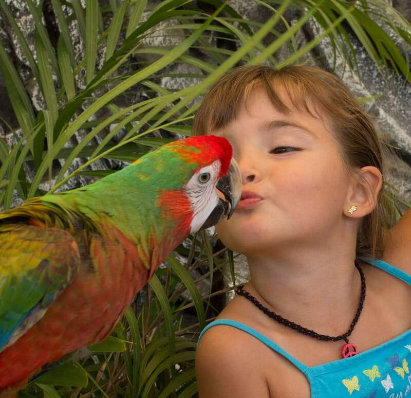 Los Cabos: Animal Encounter & Aqua Park Adventure - How the Tour Fits Into Your Los Cabos Adventure