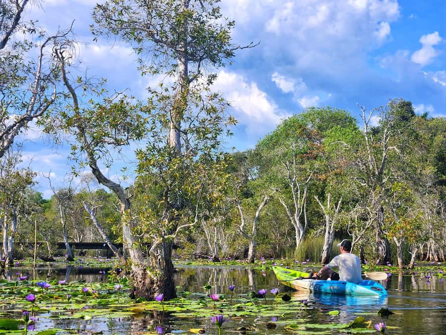 From Pattaya: Rayong Adventure Hike and Kayak Day Trip - Good To Know