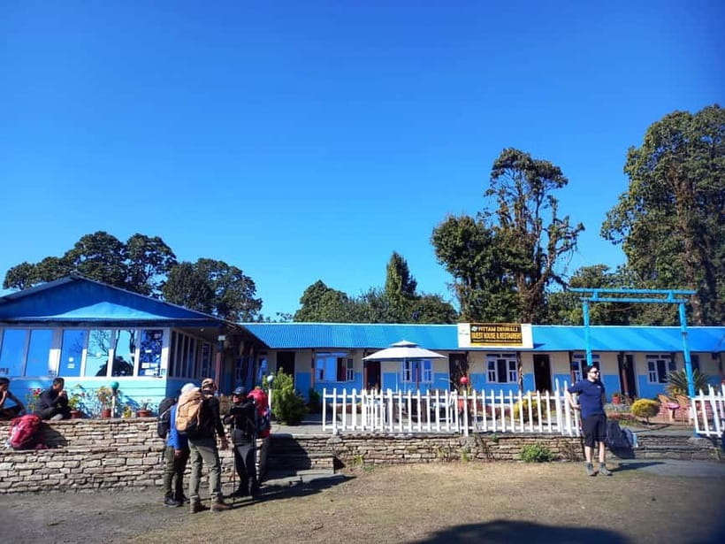 Kathmandu/Pokhara: 5-Day Mardi Base Camp (MBC) Trek - A Detailed Look at the 5-Day Mardi Base Camp Trek