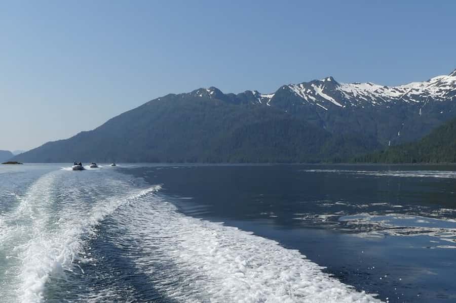Ketchikan: Scenic Drive & George Inlet Fjords Zodiac Cruise - The Sum Up