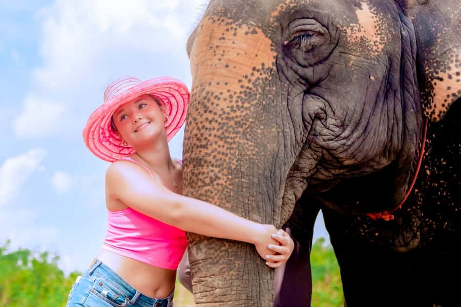 From Phuket: Ethical Elephant Interactive Trek and Tour - FAQ