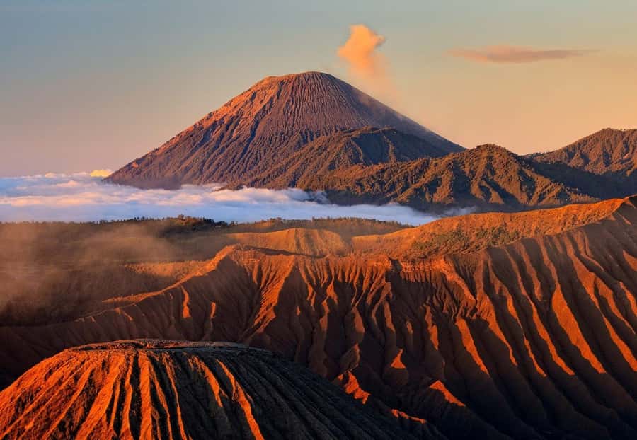 From Probolinggo: Mount Bromo Sunset Tour by Land Cruiser - Final Thoughts: Is This Tour for You?