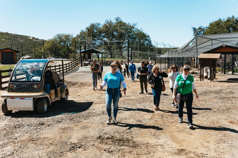 Alpine: Lions Tigers & Bears Sanctuary Visit and Feeding - Practical Details and Considerations