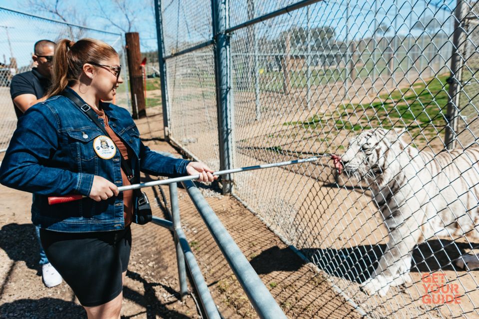 Alpine: Lions Tigers & Bears Sanctuary Visit and Feeding - The Guided Tour: Insightful and Authentic