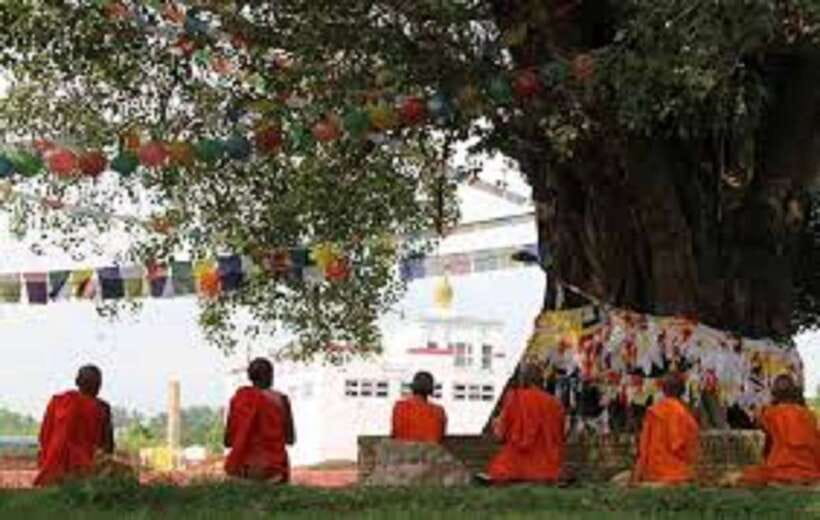 Lumbini: Guided Day Tour to Buddha's Birthplace - The Sum Up