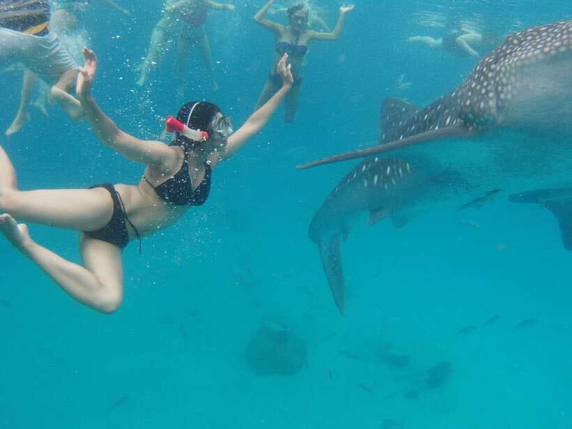 Cebu Whale Shark Swimming & Kawasan Canyoneering Group Tour - Practical Details and Tips