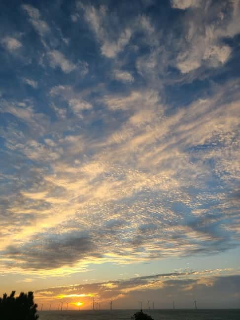 Jeju Island: Hallasan Mountain Winter Scenery Guided Tour - What You Can Expect from the Tour