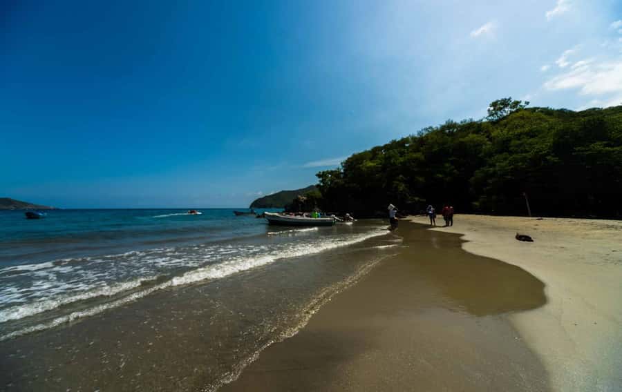 Santa Marta and Tayrona Park Day Trip - Santa Marta and Tayrona Park Day Trip: A Practical Guide for Curious Travelers
