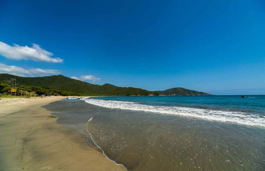 Santa Marta and Tayrona Park Day Trip - Exploring the Day: What You Can Expect