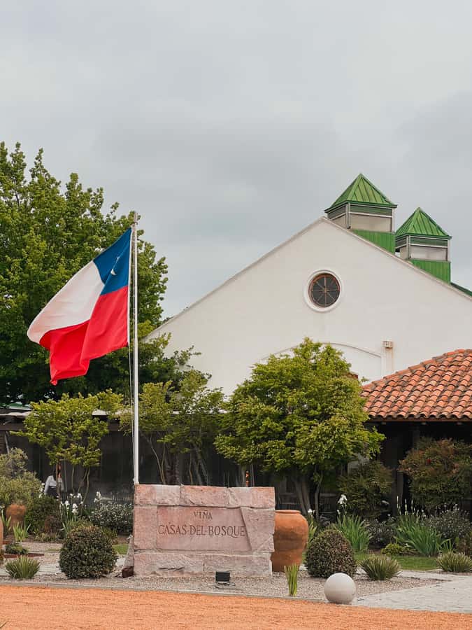 Santiago: Casa del Bosque Winery with Tasting and Lunch - A Closer Look at the Tour Experience